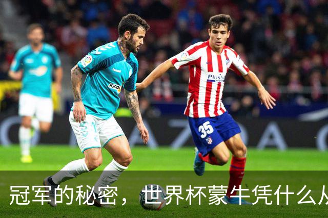 冠军的秘密，世界杯蒙牛凭什么从容不慌？