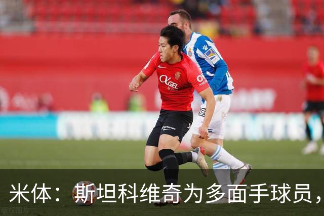 米体：斯坦科维奇为多面手球员，他可顶替恰20出任组织核心